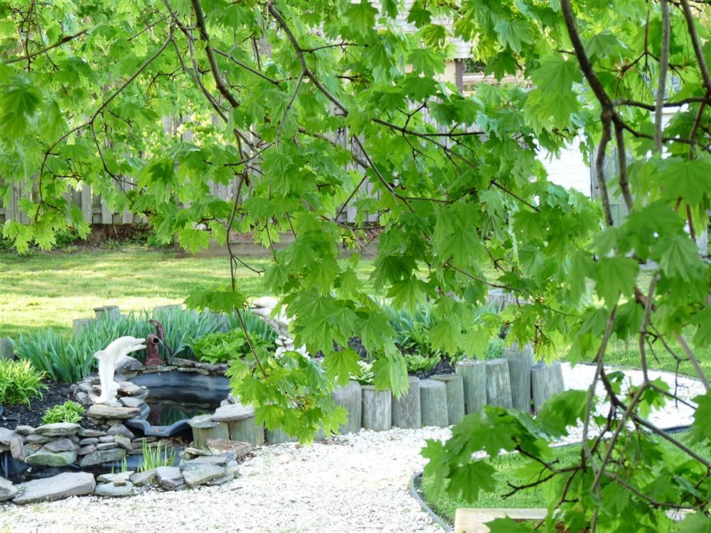 J. D. Thompson Inn Bed And Breakfast Tuckerton Bagian luar foto